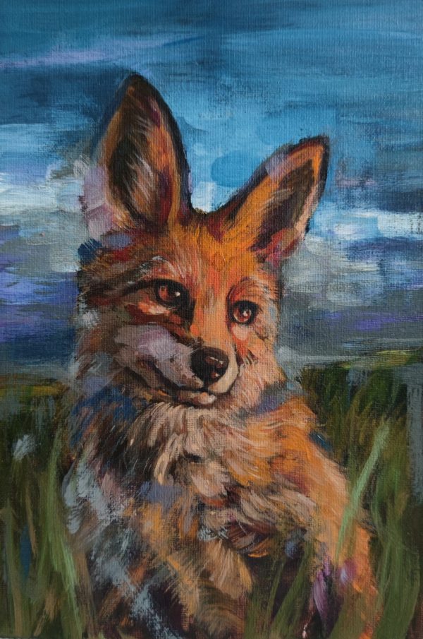 Vulpes Souriant