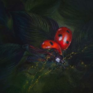 Painting of a seven-spot ladybird painted by Ivanka Elde